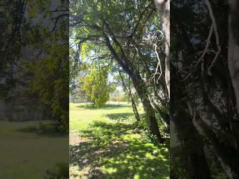 Lote en Barrio Náutico - Escobar - Buenos Aires #realestate #escobar #zonanorte