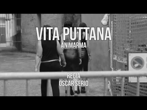 video frame placeholder