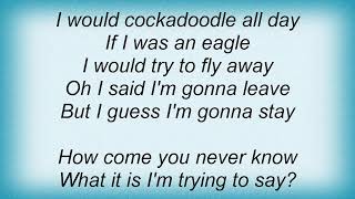 Sean Lennon - Part One Of The Cowboy Trilogy Lyrics