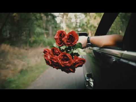 Roses - Hunter Hayes
