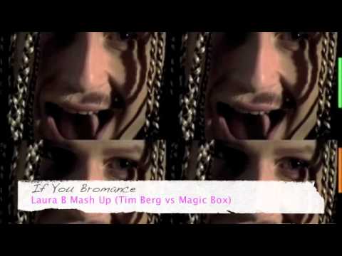 If You Bromance - Laura B Mash Up (Tim Berg vs Magic Box)