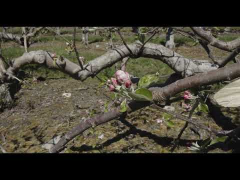 Sholan Farms/Heywood reservoir BMPCC6K