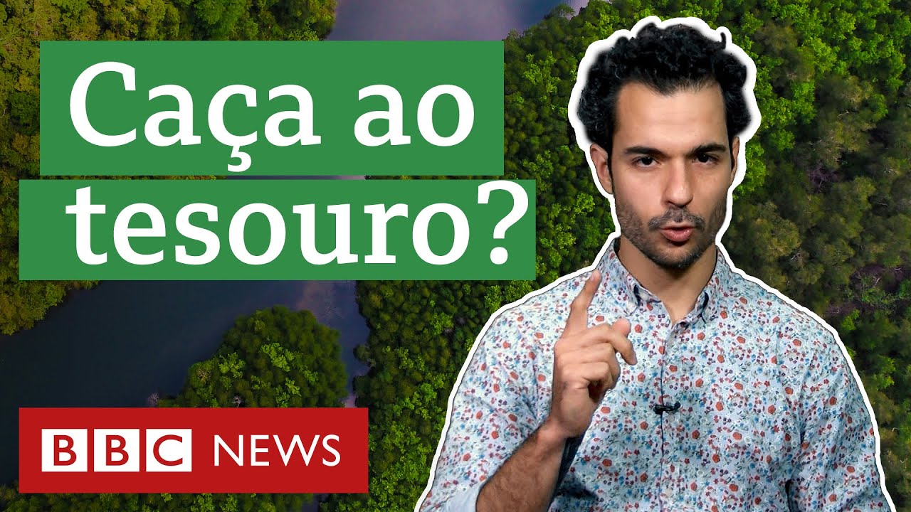 A polêmica história dos interesses econômicos na Amazônia