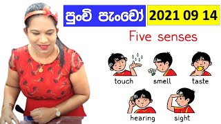 The Five Senses for Punchi Pancho - Preschool Education Surangi Teacher Amma