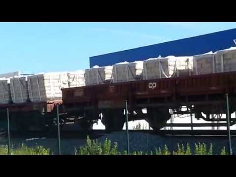 Comboio de mercadorias a caminho do Porto de Aveiro