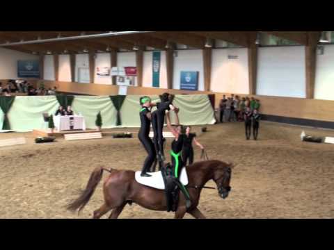 Bayerische Meisterschaften 2011 - Rathsberg I (Kür).mov