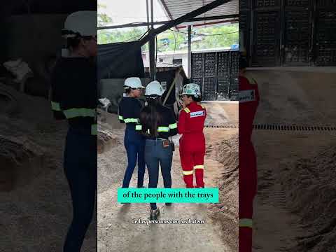 Comisur - Montecristo - Sur de Bolivar 