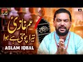 Allam Ghazi Tera Chumti Hai Hawa | Aslam Iqbal | TP Manqabat