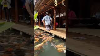 Download lagu makan di lesehan bambu mp3