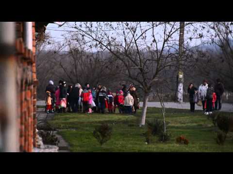 pitaraii fardea 2014