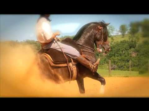 Institucional Freio de Ouro 2013