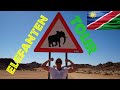 VOLL AFRIKA Die WÜSTENELEFANTEN Namibias