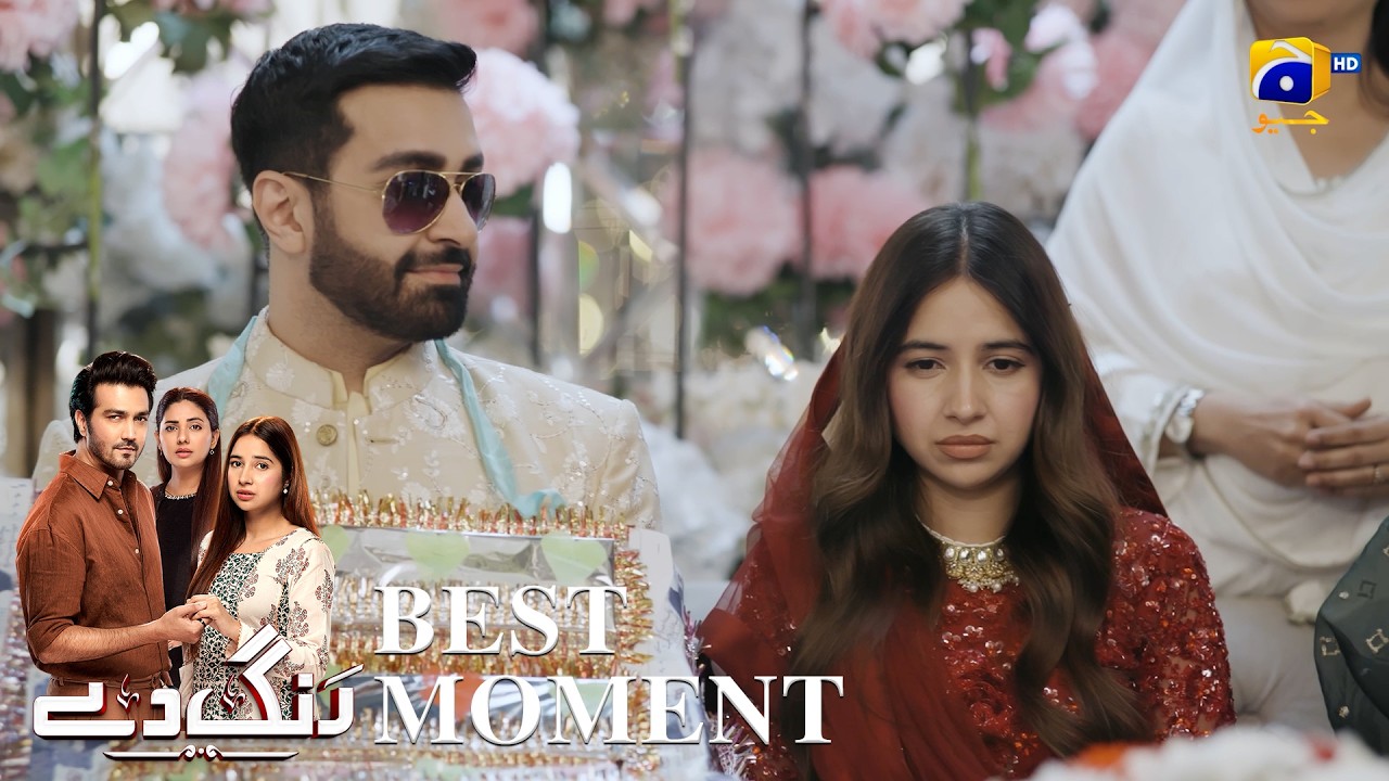 Rang De Episode 46 | 𝐁𝐞𝐬𝐭 𝐌𝐨𝐦𝐞𝐧𝐭 𝟎𝟒 | Sabeena Farooq - Shahzad Sheikh - Azfar Rahman | Har Pal Geo
