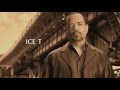 Law And Order SVU Custom Theme Version