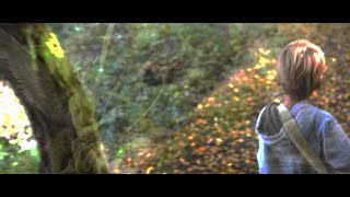 Video Dáma s hranostajem