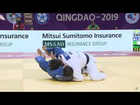 Sumi gaeshi / Hikikomi gaeshi Compilation — judo technique demonstration