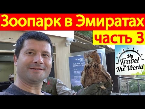 Zoo in the Emirates, Al Ain tour to the UAE, part 3, series 654