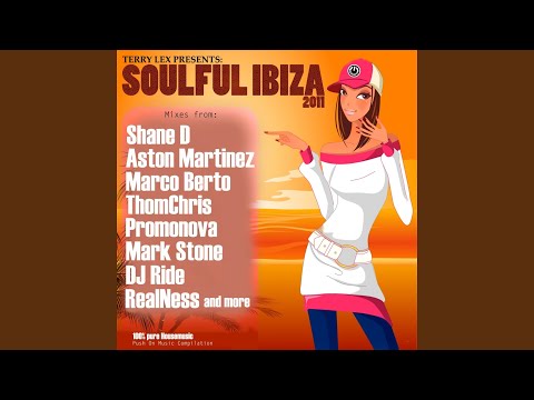 Step Into Your Light (feat. Donald Sheffey) (Terry Lex Mix)