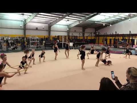 2020 Gymnaestrada Routine