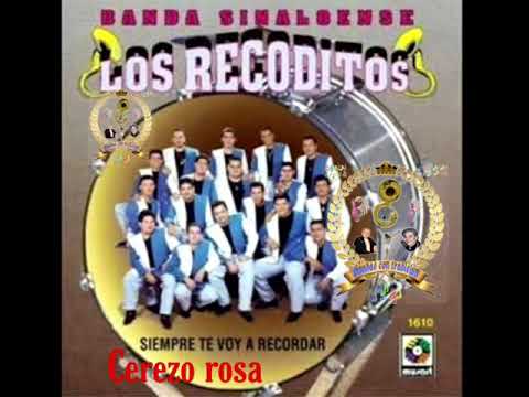 BANDA LOS RECODITOS, cerezo rosa