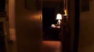 V.T.(P.T./Silent Hills Live Action Homage)