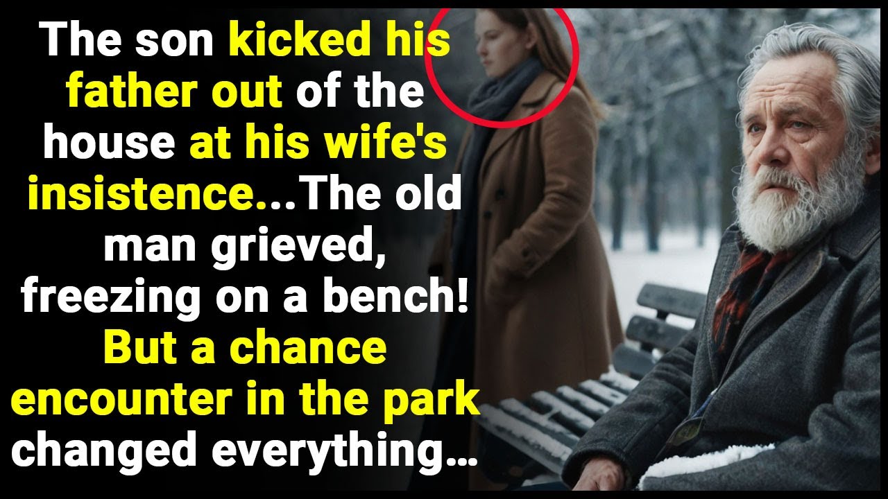 Son kicked out his father at his wife's insistence..The old man froze on a bench, but when she came…
