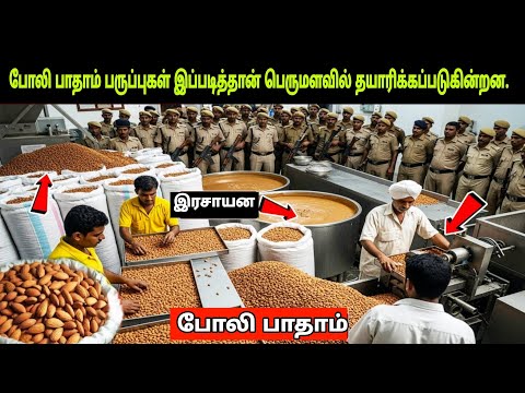 குளிர்காலத்தில் போலி பாதாம் பருப்புகள் எவ்வாறு பெருமளவில் தயாரிக்கப்படுகின்றனShock Fake Almonds Make