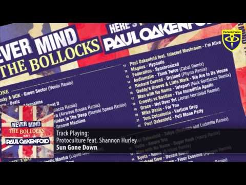 Protoculture feat. Shannon Hurley - Sun Gone Down