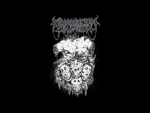 Neuro-Visceral Exhumation -  After Accident (Dead Infection cover)