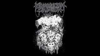 Neuro-Visceral Exhumation -  After Accident (Dead Infection cover)