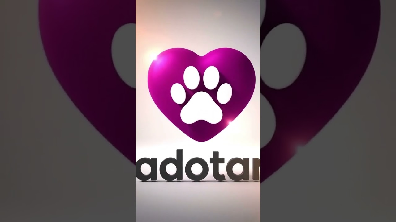 Gato raça SRD-ViraLata idade 2 a 6 meses nome ADOÇÃO CONJUNTA