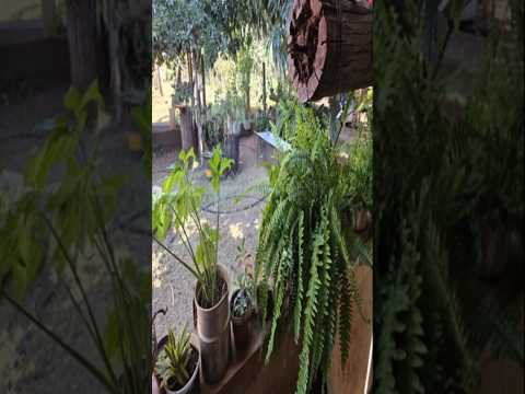 Sítio Panela Velha, Siedlung Uirapuru, Nioaque, Mato Grosso do Sul, Brasilien