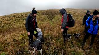 Hike Pen Y Fan In The Brecon Beacons - Bannau Brychieniog - 1301
