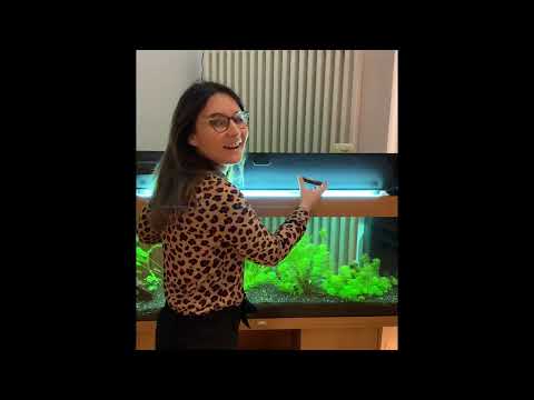 Einrichtungsvideo St. Josef Kindergarten in Berching