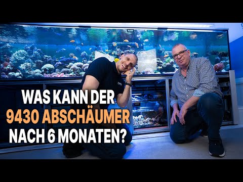 AUTHENTISCHES Review des 9430 nach 6 Monaten?! - Wie hat der Prototyp performed?