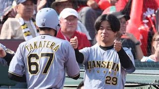 🚨阪神・高橋遥人が覚醒🔥