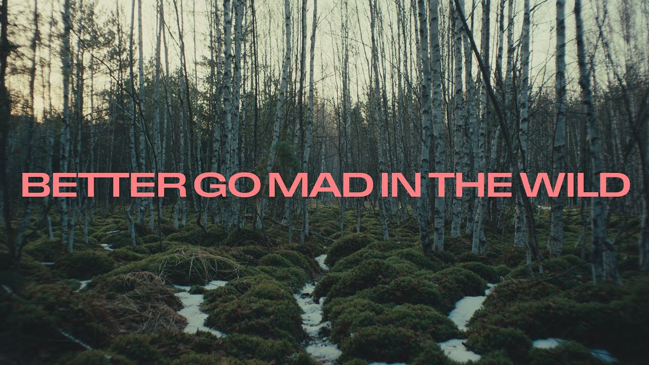 Miniature de la vidéo BETTER GO MAD IN THE WILD (trailer) du film Better Go Mad in the Wild