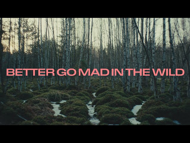 youtube play