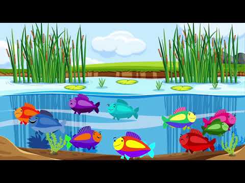 Be the Pond   Cosmic Kids Zen Den   Mindfulness for kids