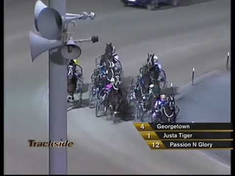 2008 New Zealand Derby