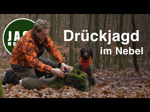 Hunting Moments | Episode 10 | Driven Hunt in the Fog