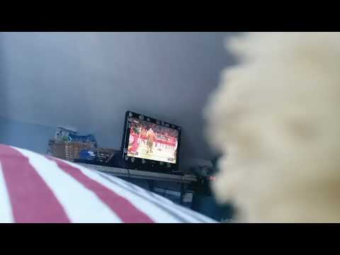 Def Jam 2K20 - Omar vs Headache @ Da Bridge