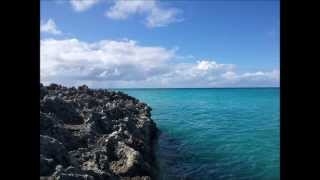 preview picture of video 'A Walk with the Anguilla National Trust - Part Four (Final) - Maundays Bay'