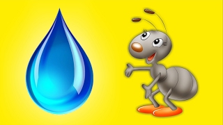 МУРАВЬИ И КАПЛЯ ВОДЫ 💧 alex boyko