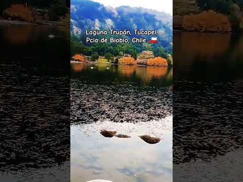 Laguna Trupán, Tucapel, Pcia de Biobío, Chile 🇨🇱 ¡Belleza! #youtube #beautiful #lake #shorts #foryou