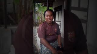 Download lagu story' wa Jawa lucu mp3 Download lagu story' wa Jawa lucu mp3