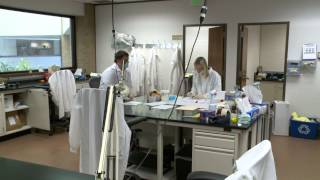 Serial Killer Cold Cases