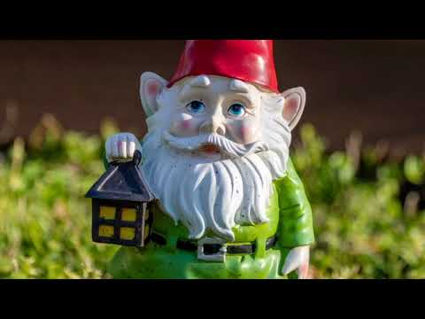 The History and Orgins Of the Gnome