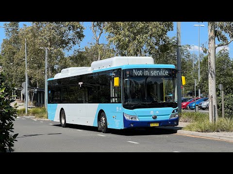 Interline Bus Services: m/o 8199 - Yutong E12 ZK6131HGE (part 2)