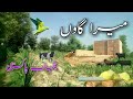 Village Life Life In Village Village Life Style Rural Life Daily Routine In Village